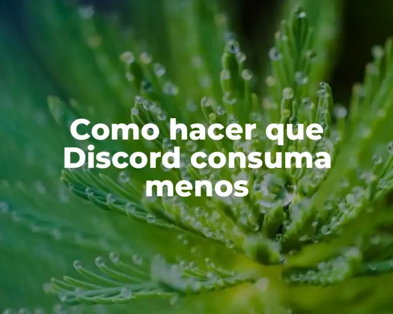 Como hacer que Discord consuma menos