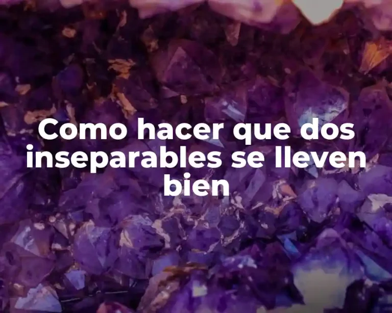 Como hacer que dos inseparables se lleven bien
