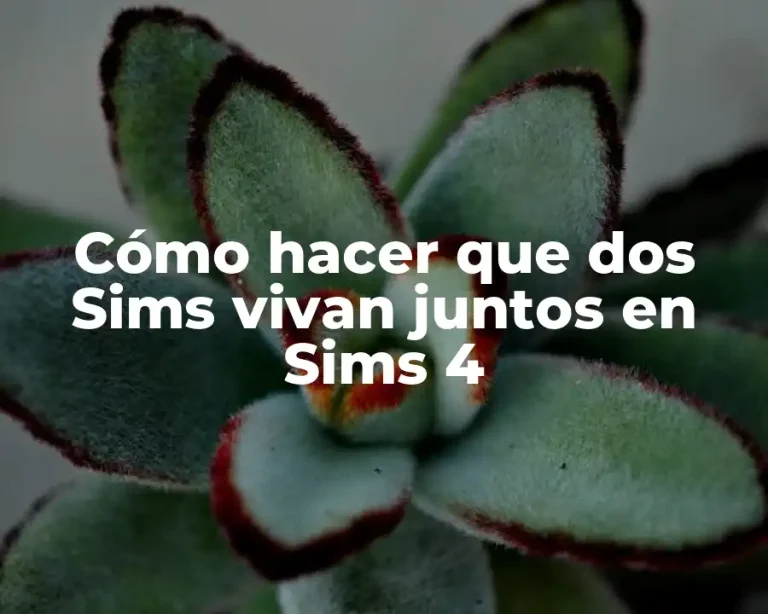 Cómo hacer que dos Sims vivan juntos en Sims 4