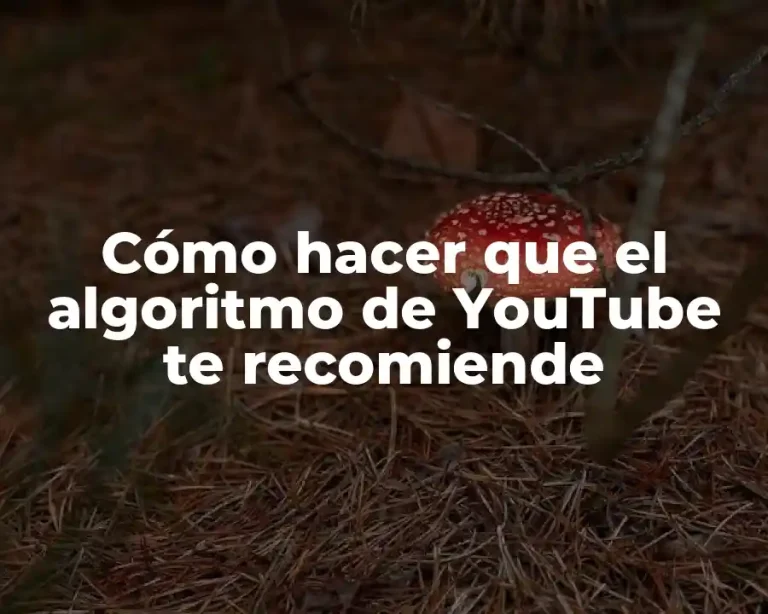 Cómo hacer que el algoritmo de YouTube te recomiende