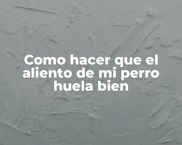 Como hacer que el aliento de mi perro huela bien