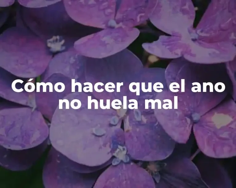 Cómo hacer que el ano no huela mal