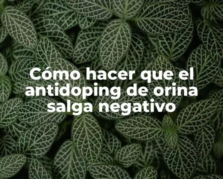 Cómo hacer que el antidoping de orina salga negativo