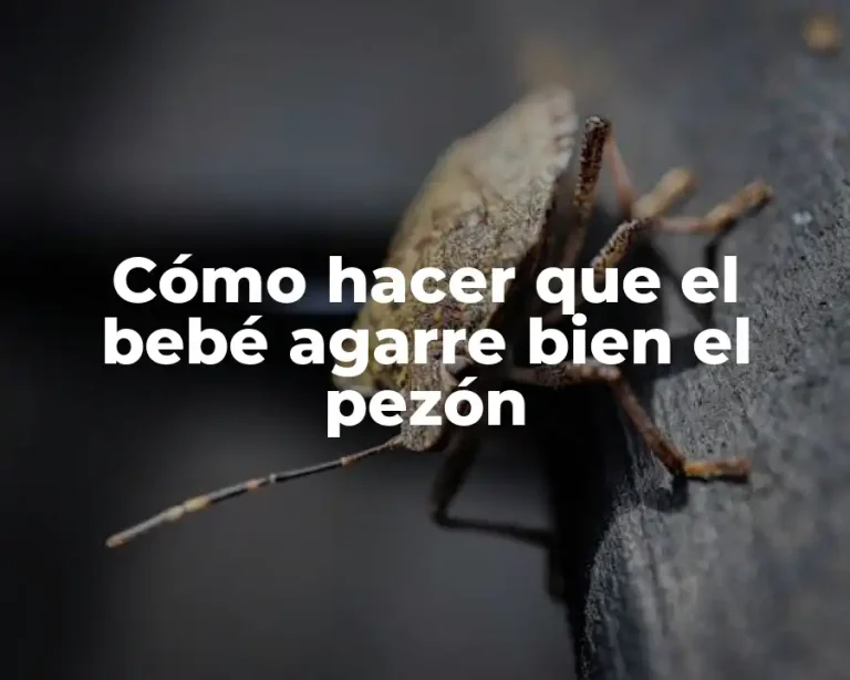Cómo hacer que el bebé agarre bien el pezón