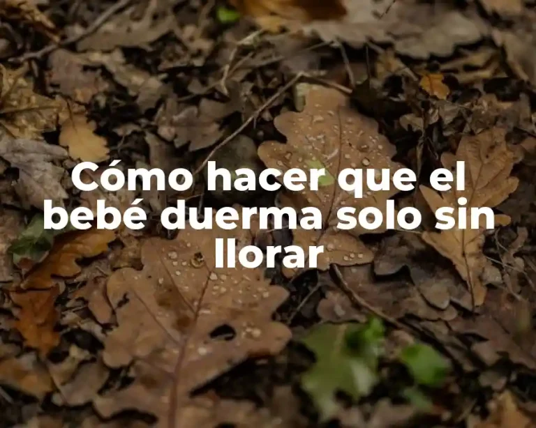 Cómo hacer que el bebé duerma solo sin llorar