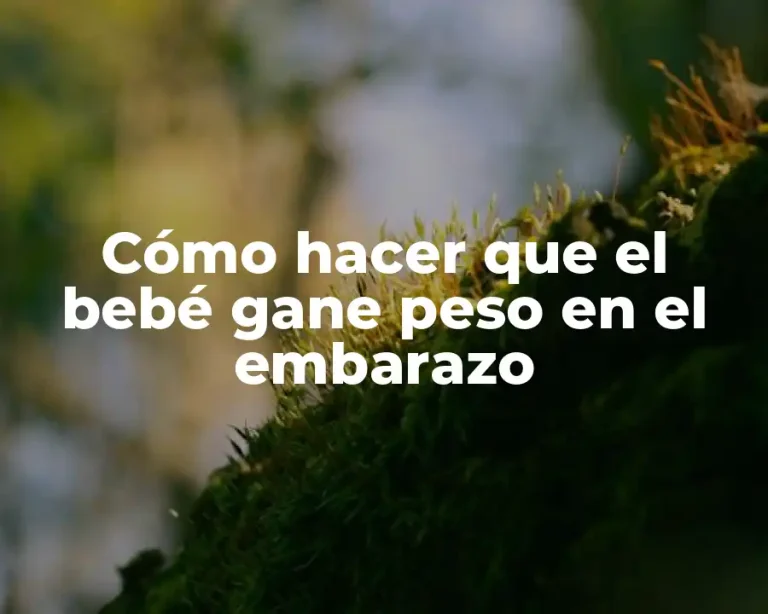 Cómo hacer que el bebé gane peso en el embarazo