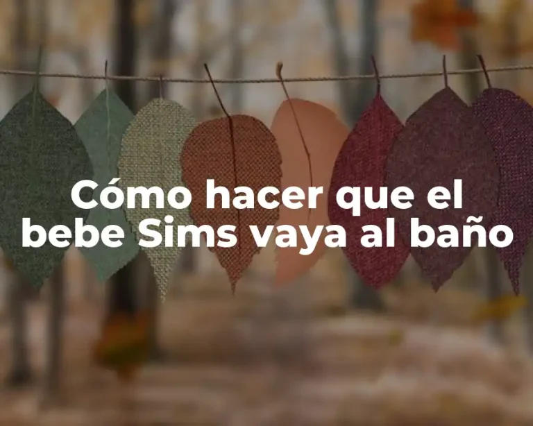 Cómo hacer que el bebe Sims vaya al baño