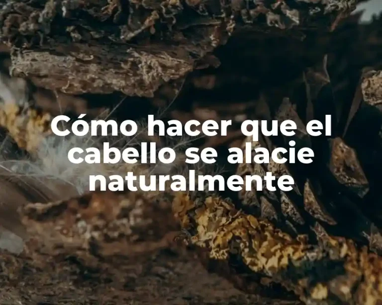 Cómo hacer que el cabello se alacie naturalmente