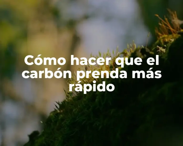 Cómo hacer que el carbón prenda más rápido