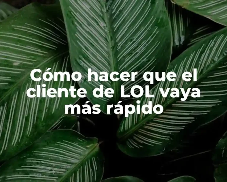 Cómo hacer que el cliente de LOL vaya más rápido