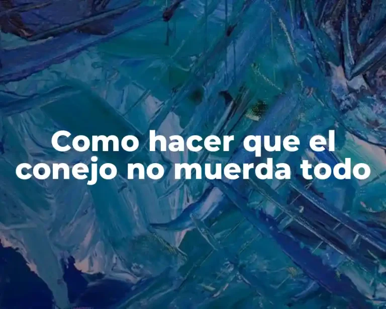 Como hacer que el conejo no muerda todo