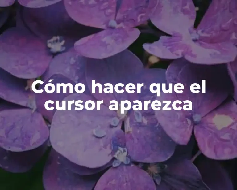 Cómo hacer que el cursor aparezca