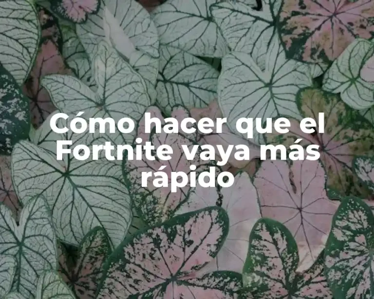Cómo hacer que el Fortnite vaya más rápido