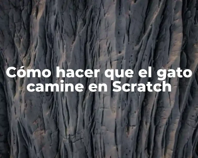 Cómo hacer que el gato camine en Scratch