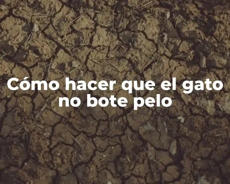 Cómo hacer que el gato no bote pelo