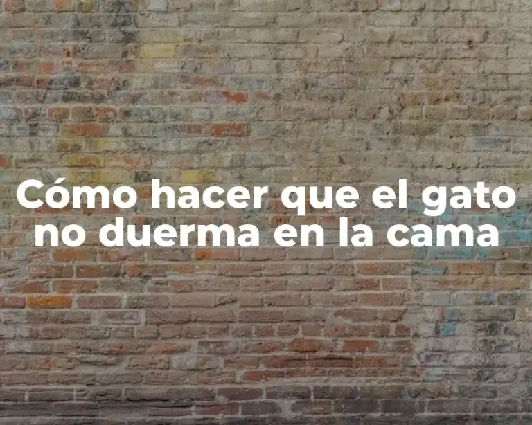 Cómo hacer que el gato no duerma en la cama
