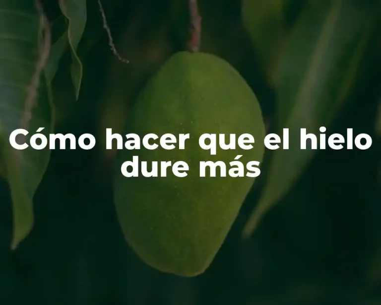Cómo hacer que el hielo dure más