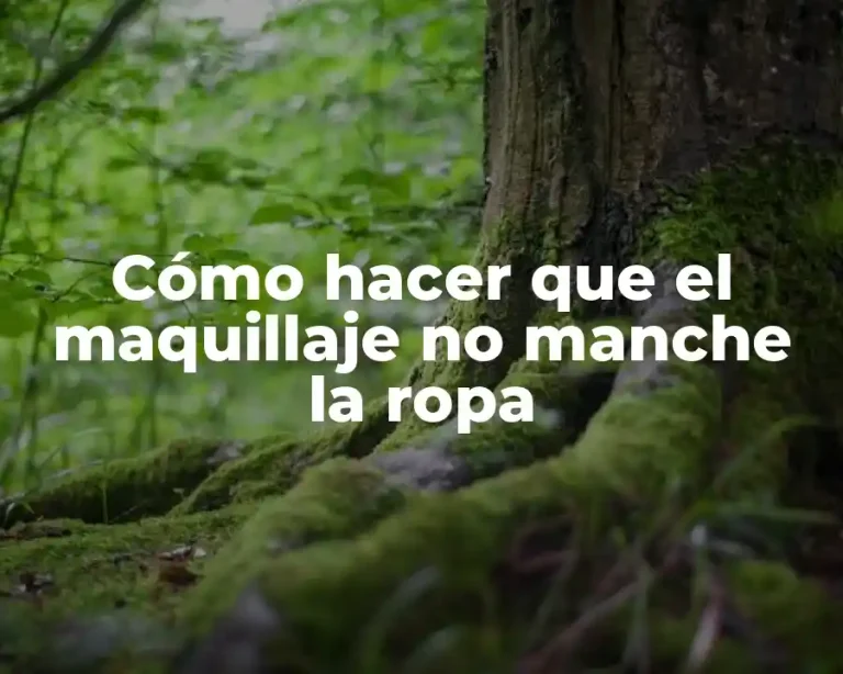 Cómo hacer que el maquillaje no manche la ropa