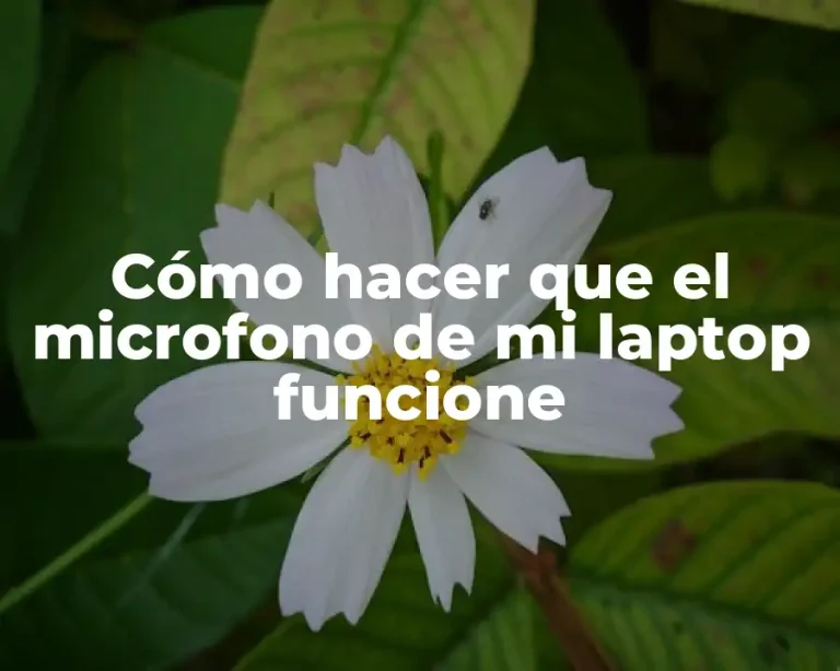 Cómo hacer que el microfono de mi laptop funcione