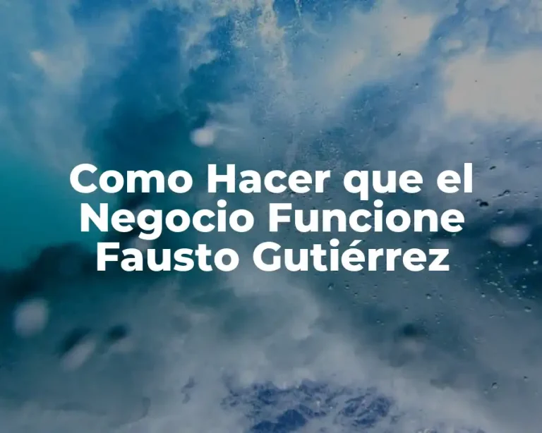 Como Hacer que el Negocio Funcione Fausto Gutiérrez