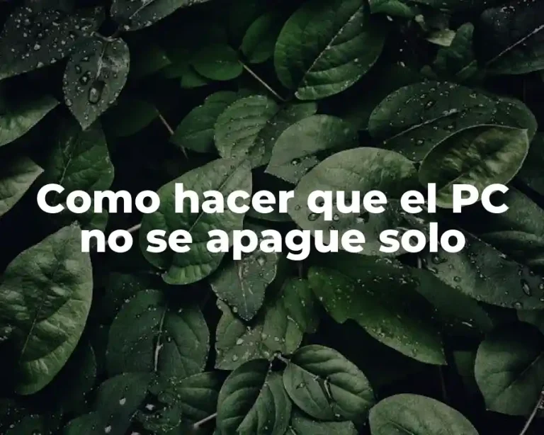 Como hacer que el PC no se apague solo