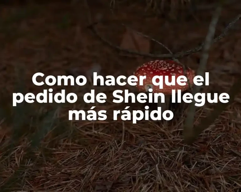 Como hacer que el pedido de Shein llegue más rápido