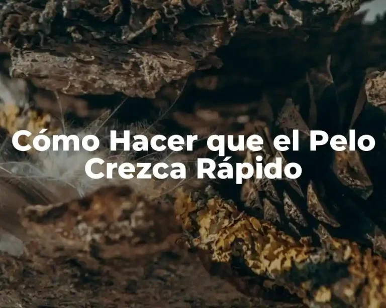 Cómo Hacer que el Pelo Crezca Rápido