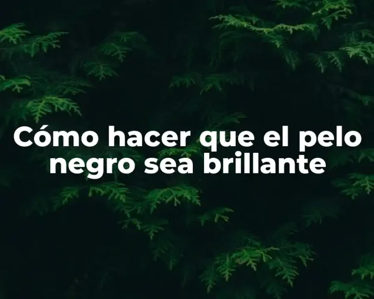 Cómo hacer que el pelo negro sea brillante