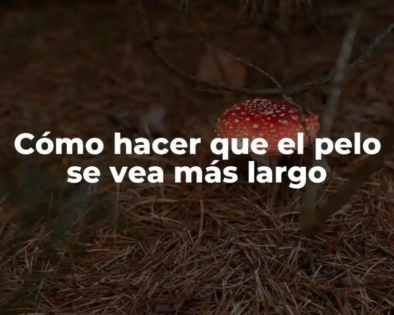 Cómo hacer que el pelo se vea más largo