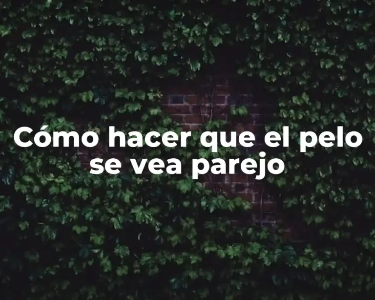 Cómo hacer que el pelo se vea parejo