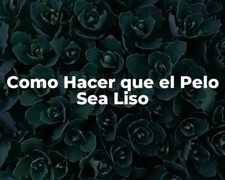 Como Hacer que el Pelo Sea Liso