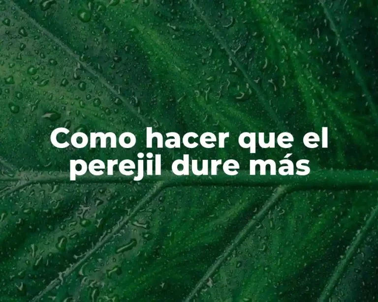 Como hacer que el perejil dure más