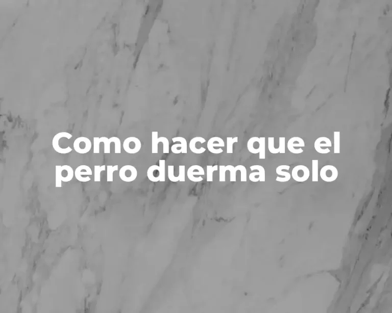 Como hacer que el perro duerma solo