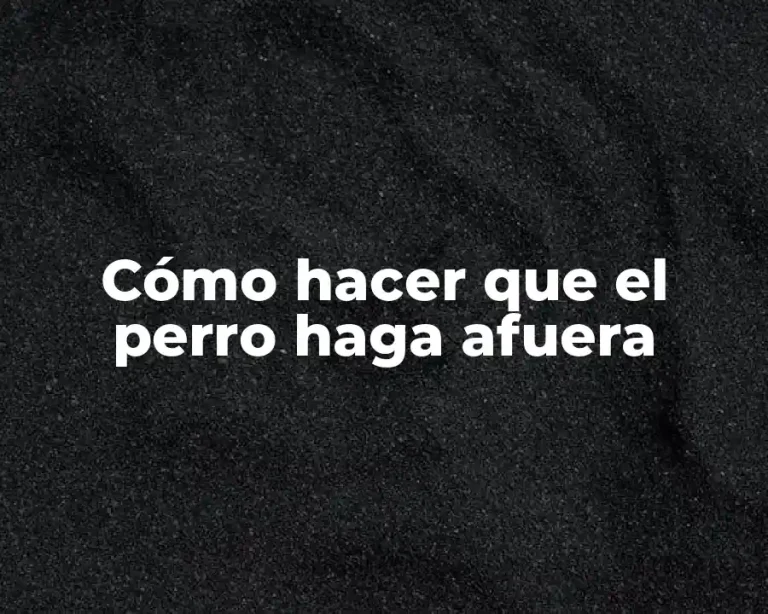 Cómo hacer que el perro haga afuera