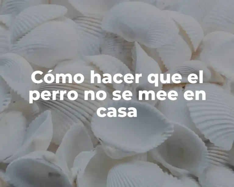 Cómo hacer que el perro no se mee en casa