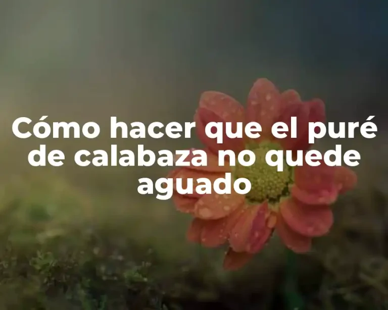 Cómo hacer que el puré de calabaza no quede aguado