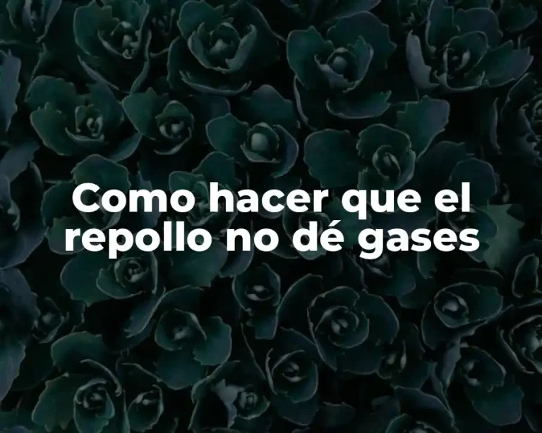 Como hacer que el repollo no dé gases