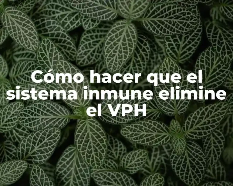 Cómo hacer que el sistema inmune elimine el VPH