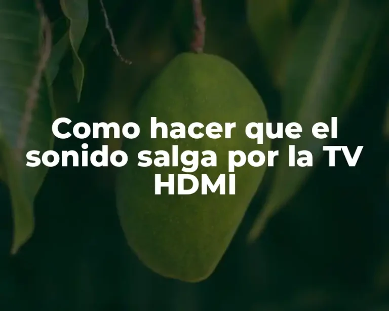 Como hacer que el sonido salga por la TV HDMI