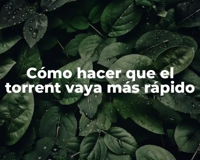Cómo hacer que el torrent vaya más rápido