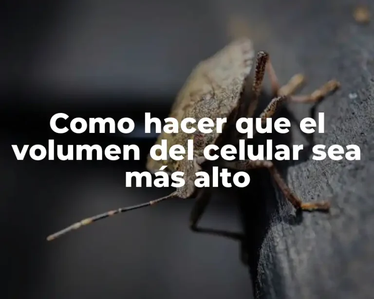 Como hacer que el volumen del celular sea más alto