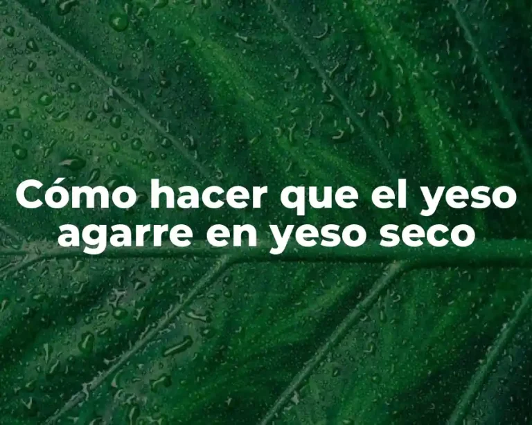 Cómo hacer que el yeso agarre en yeso seco