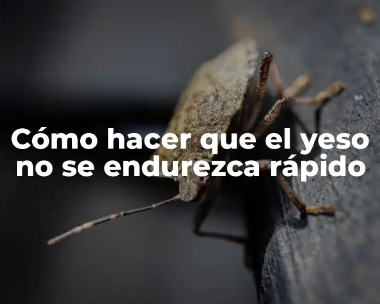 Cómo hacer que el yeso no se endurezca rápido