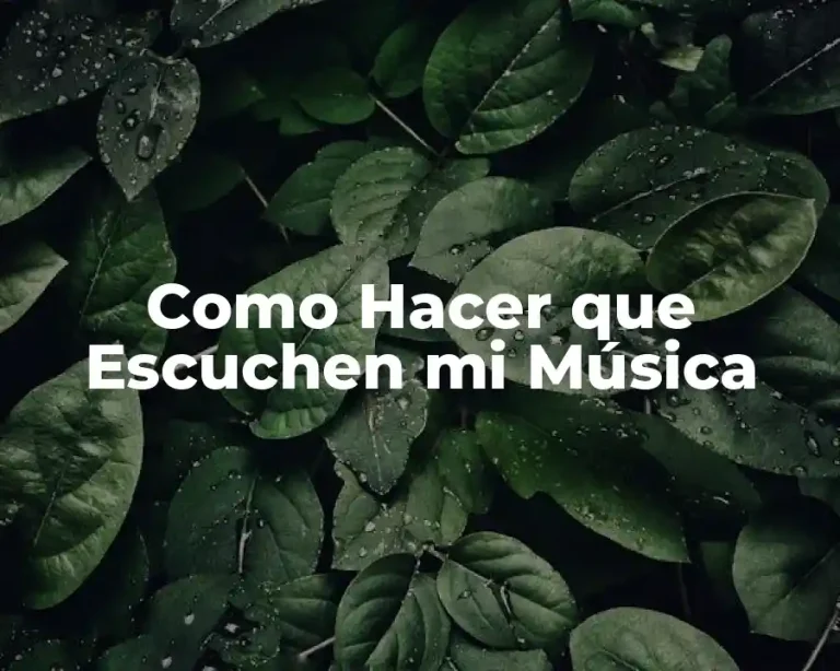 Como Hacer que Escuchen mi Música