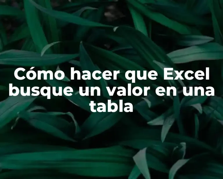 Cómo hacer que Excel busque un valor en una tabla