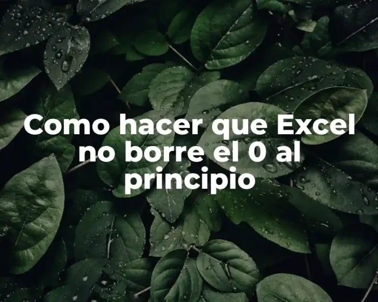 Como hacer que Excel no borre el 0 al principio