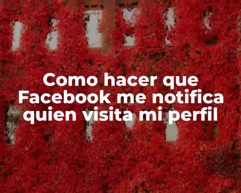 Como hacer que Facebook me notifica quien visita mi perfil
