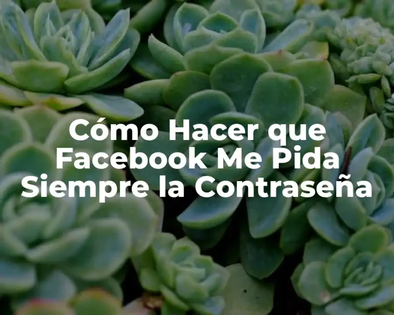 Cómo Hacer que Facebook Me Pida Siempre la Contraseña