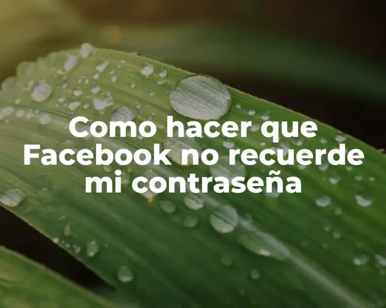 Como hacer que Facebook no recuerde mi contraseña