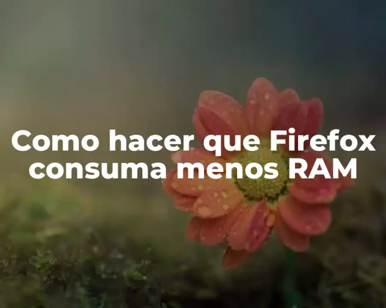 Como hacer que Firefox consuma menos RAM